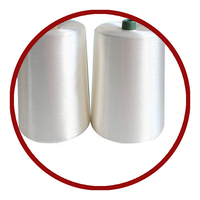 Meilleur Fournisseur Fil DTY 100% Polyester Filé à Anneaux et Filé en Cœur 300/96 RW HIM Haute Ténacité Teint Texturé