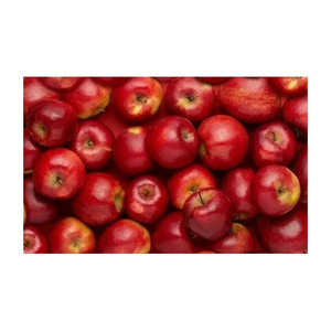 Pommes rouges délicieuses fraîches en gros de la meilleure qualité - Product Image 1