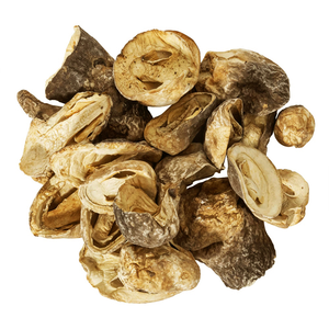 Snack aux champignons naturels de haute qualité, chips de légumes croustillants, faible en gras, alimentation végétale saine, couleur dorée grillée - Product Image 3