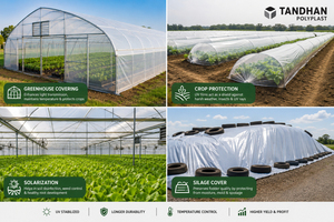Lámina de Plástico Transparente para Invernadero TANDHAN, Resistente a los Rayos UV, de Polietileno, para Control de Calor y Resistencia al Desgarro, para la Agricultura en Bengala Occidental - Product Image 4