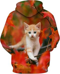 Sudadera con Capucha para Hombre, Estampado Galáctico, Corte Regular, Estilo Casual, Tejido de Poliéster, Diseño Sublimado, Bolsillo Frontal - Product Image 6