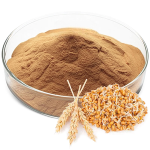 Extracto de Cebada en Polvo de Alta Calidad 10:1, 100% Puro y Natural, Polvo de Hordeum Vulgare de Grado Alimenticio, Polvo de Cebada de la India - Product Image 4