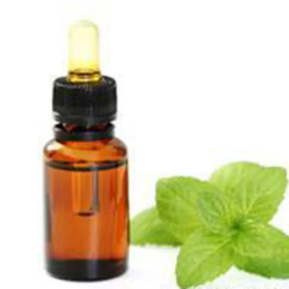 High Quality Spearmint extract herb material spearmint special spice Mentha spicata spearmint Extract liquid