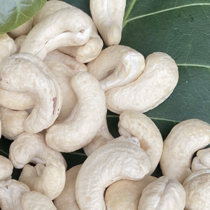 Prix Usine Compétitif Noix de Cajou Brutes WW180, WW240, WW320, LP Prix des Noix de Cajou au Vietnam Noix de Cajou Sans Taxe - Product Image 1