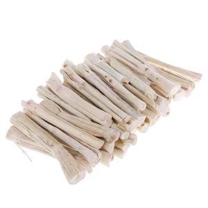 Bâtonnets de brosse à dents naturels Miswak pour une hygiène buccale traditionnelle, outil de nettoyage dentaire écologique pour les soins quotidiens des dents et des gencives - Product Image 4