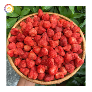 สตรอว์เบอร์รีอบแห้งทั้งลูก รสหวานอมเปรี้ยว ผลไม้แช่แข็งจากเวียดนาม แหล่งผลิตหลำตง บรรจุภัณฑ์แบบแพ็คใหญ่ ซีลสูญญากาศ - Product Image 6