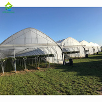 Serre agricole à un seul travert, type tunnel en polyéthylène, à toit en dents de scie, pour la culture de tomates – Vente chaude