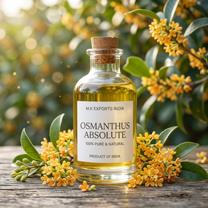 Aceite Absoluto de Osmanthus de Primera Calidad, Grado de Fragancia, para Perfumería Fina, Aromaterapia y Formulación Cosmética de Lujo, Suministro a Granel - Product Image 1