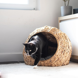 Water Hyacinth Pet <b>Bed</b> for <b>Dogs</b> and Cats | <b>Round</b> Cat <b>Bed</b> with Cushion | Vietnamese Design Comfortable <b>Bed</b> Pet Nice Price - Product Image 3