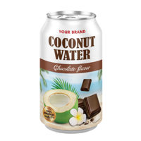 Private Label 100% Natuurlijke Kokoswater 330ml Fruitige Smaken OEM ODM Kokosdrank Plantaardige Sap Export Kwaliteit Gratis Monster