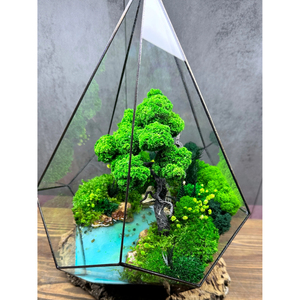 <b>Clear</b> Glass Black Metal Contemporary Handicraft Durable Framed Terrarium Planter <b>Vase</b> for Living Room Luxury Home Table Decor - Product Image 5