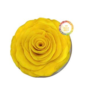 VIETNAM NO ADDITIVES NO COLOR SOFT <b>DRIED</b> CHEWY <b>DRIED</b> <b>MANGO</b> WHOLESALE IN VACUUM PACK BUKL BAG <b>DRIED</b> <b>MANGO</b> SEA EXPORT QUICK SALE - Product Image 4