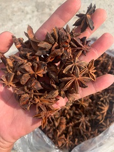 Anís estrellado de Phalco Vietnam Company, flor grande, buen sabor, precio de fábrica, mezcla de especias y hierbas secas, estilo procesado en seco. - Product Image 1
