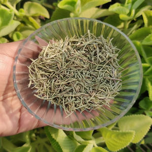 ใบโรสแมรี่ดิบคุณภาพพรีเมียม หั่นละเอียด สำหรับปรุงรส ทำอาหาร เพิ่มรสชาติ ต้นกำเนิดจากอินเดีย HP Valia - Product Image 5