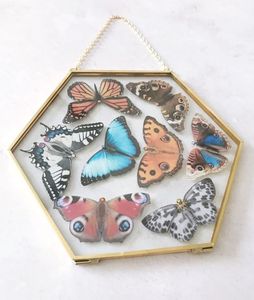 Cadre photo hexagonal moderne en laiton avec double verre flottant pour œuvres d'art et spécimens botaniques – Vente en gros de cadres décoratifs - Product Image 1