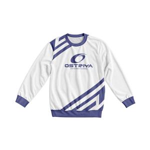 Sweat-shirt à capuche personnalisable pour homme, basique, uni, grande taille, sport, coupe ample - Product Image 1