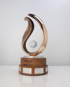 Trophée d'excellence en boxe avec un design en feuille d'argent. Disponible aux prix de gros. - Product Image 2