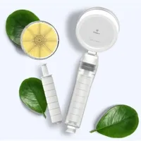 Pommeau de douche compact filtrant et détachable Ionpolis pour la réduction du chlore, module d'eau pour salle de bain