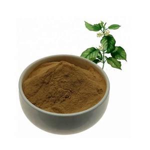Extrait de Gymnema Sylvestre en poudre de haute qualité, 25 à 75 % d'acide gymnémique, favorise une glycémie saine, export en vrac d'Inde - Product Image 3