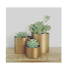 Brass Decorative Planter Pot Hammered Modern Brass Flower Pot Hand Carved Circular Design Glam Indoor <b>Desk</b> Planter Pot - Product Image 2