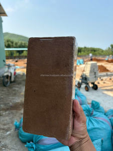 Fibra de Coco Natural |   Productos de Alta Calidad, Ecológicos, Ideales para Jardinería, Paisajismo, Cultivo de Plantas y Pedidos al por Mayor - Product Image 6