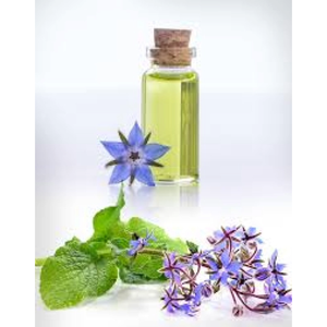 Aceite de Borraja Natural, Aceite Ligero para el Cuidado Diario de la Piel y el Cabello al Mejor Precio - Product Image 2