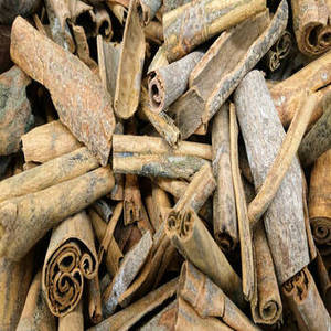 Nueva Temporada de Varillas de Canela India para Proveedores de Supermercados Modernos, Panaderos Profesionales, Productores de Bebidas e Internacionales - Product Image 5