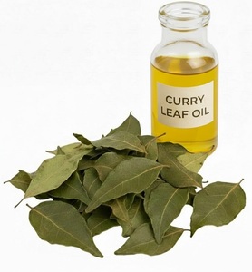 Exportateur d'huile essentielle de curry de qualité supérieure 100% pure - Product Image 1