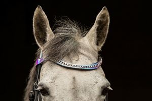 Têtière en cuir holographique avec sangles noires, confortable et réglable, avec frontal zigzag, de haute qualité pour l'équitation - Product Image 3