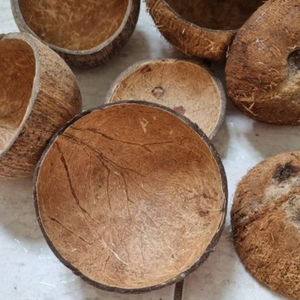 เปลือกมะพร้าวบดแห้งเกรด A ปริมาณมาก |   วัตถุดิบธรรมชาติจากทัมมิลนาฏูด |   แบรนด์เซนนิซ โคโค่ สำหรับการส่งออก |   ดีที่สุด - Product Image 6