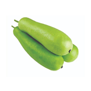 Courge en bouteille saine, légume frais, récolte verte, ingrédient culinaire, produit agricole de qualité, vente en gros, approvisionnement en vrac, exportation fraîche - Product Image 1