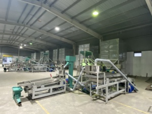 Ligne de décorticage automatique de noix de cajou, machine de traitement de noix de cajou haute capacité, fabriquée au Vietnam - Product Image 6