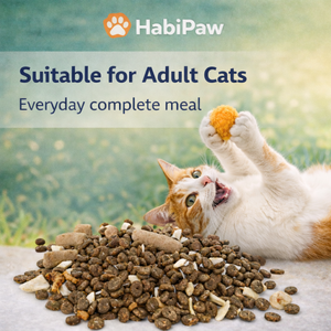อาหารแมวเม็ด MASTER-X CAT Mix Cat Kibble สูตรไก่และปลา โปรตีนสูง โภชนาการครบถ้วนสำหรับแมวโต รับผลิตแบบ OEM ขายส่ง - Product Image 2