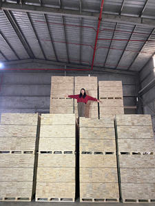 Proveedor de Palets de Madera Contrachapada LVL, Materiales de Madera Natural, Hechos en Vietnam con Certificado ISPM15, Palets a Precio Económico - Product Image 4