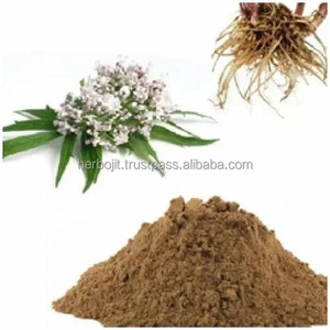 Extrait de racine de valériane en poudre, complément alimentaire à base de plantes pour soutenir le système nerveux, renforcer l'immunité, soulager le stress, favoriser un sommeil réparateur - Product Image 1