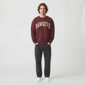 HAWK EYE SPORTS Sweat à capuche décontracté pour homme Nouvelle mode 350g Coupe droite épaules tombantes Col montant Motif imprimé Automne - Product Image 4