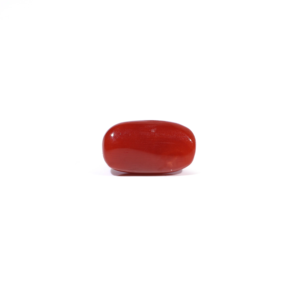 Natural Red Coral Oval Cabochon Loose Gemstone 3.62 Carat Certified Wholesale - Product Image 2