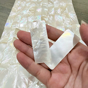 Piezas de Madreperla Cruda, Material Natural de Concha - Product Image 1