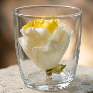 VADEE SOLA WOOD FLOWER SET 02 Diffuseur Lotus Océanique 6.5CM Couleur Jaune Doux Bâtonnets en Fibre de Plante de Sesbania Aromathérapie Faits à la Main - Product Image 1