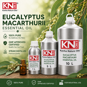 Premium <b>Sweet</b> Eucalyptus Macarthurii Essential Oil 100% Pure Steam Distilled Organic Certified Top Grade <b>Bulk</b> Supplier - Product Image 4