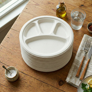 Plateaux en bagasse extra larges de 12 pouces (4CP) pour servir des repas familiaux et des grands événements de buffets - Product Image 5