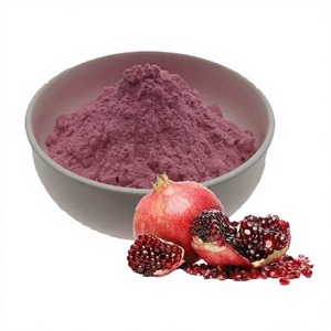 Extracto de Fruta de Granada 100% Puro de Grado Alimenticio, Certificado GMP, Empacado al Vacío en Tambor - Product Image 1