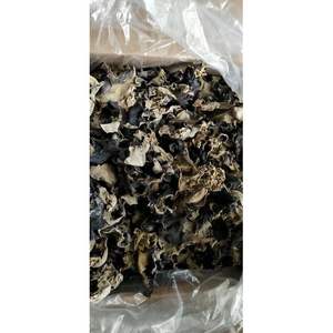 Cultivé vietnamien naturel séché bois oreille champignon sain végétalien nourriture et cuisson assaisonné bouchon traité - Product Image 2