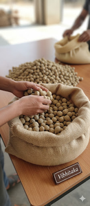 วัตถุดิบเสริมอาหารย่อยอาหาร เบห์ดา (เทอร์มินาลีอา เบลลิริกา) - Product Image 2