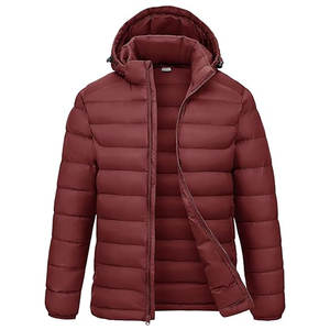 Veste matelassée imperméable à capuche pour homme avec capuche amovible, manteau d'hiver léger et isolé avec 4 poches et poignets élastiques - Product Image 1