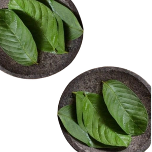 Oferta por Volumen: Material Crudo de Guayaba Seca, Precio de Exportación, Hojas Puras de Planta, Empacado en Bolsa Kraft por Exportador Vietnamita - Product Image 2