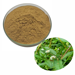 Polvo Puro de Hoja de Bhringraj a Granel, Polvo Herbal Natural de Eclipta Prostrata para Mascarillas Capilares, Champú Herbal y Cuidado Capilar Ayurvédico - Product Image 2