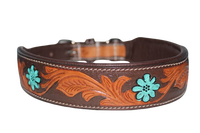 Collar de Cuero Acolchado de Lujo para Perro, Estilo Western, Collar Duradero para Mascotas, Calidad de Exportación de Divine International