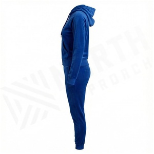 Women Blue <b>Velour</b> Hooded <b>Tracksuit</b> Set Full Sleeve Zipper Front Casual Joggers Solid Color Autumn Wear - Product Image 3