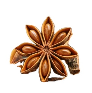 Anís estrellado <span class=keywords><strong>verde</strong></span>-marrón de alta calidad, seco, crudo, AD, 100% puro, con 24 meses de duración, de Vietnam. - Product Image 3